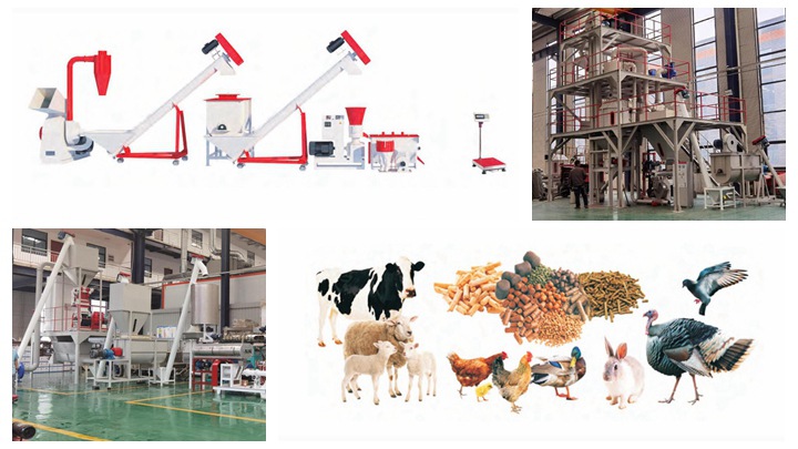 Canada pangasius feed machine production line